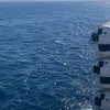 8xil_281