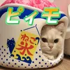 ピィモ