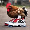 chickenbutt667