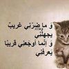 user381781231281