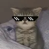 gogogo_088