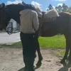juan.fernandez58