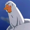 baogiodocap3thidoiten17