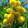 user6684061915301