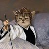 thatkittyfatter