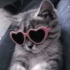 its_alea_kim