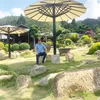 cuong.tran11