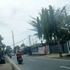 om.wahyu5