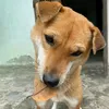 nguyen.thi.kim.ngan_122
