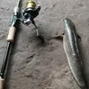 nguyenminhman_71