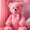 anisha.islam521