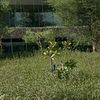mohamad_raad7