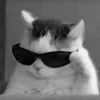 _li.vrz