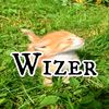 w1zer_4