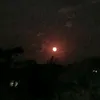naidevieira443