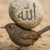 user3506781061431