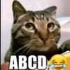 username654202
