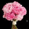 maheenqazi4