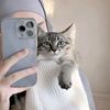 user68196169319964