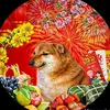 bietdoichongcali2