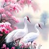 mariam.diallo728