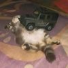 fauzan_pakez