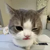 cunqq__769