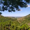 kelebek.19078