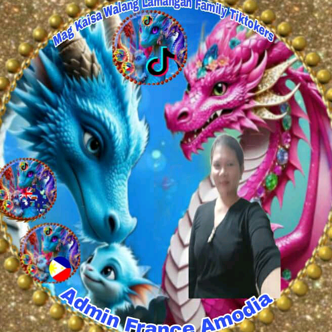 france.amodia
