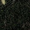 iuiuiuiuiuiuiy