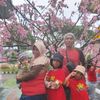 soeantyndoetz22