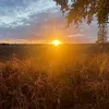 juulmoors1