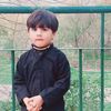 bashirbashir6249