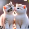 user2530319211083