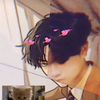 aris_skyris
