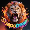 snap_stream_001