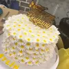 رنا رنا
