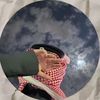 43_ee