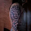 anapaulasilva3696