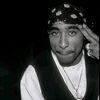 offex_.ahmed