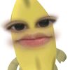 knzjcx