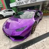 dvizinn6