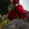 .touqa0
