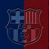 mes_que_un_club29111899