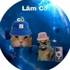 lamco2010
