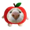 hjiangh