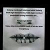 saung_geulis84