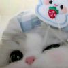 cilaa.ajaa98