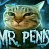 car_edit_reposter