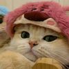 sai__min__khant